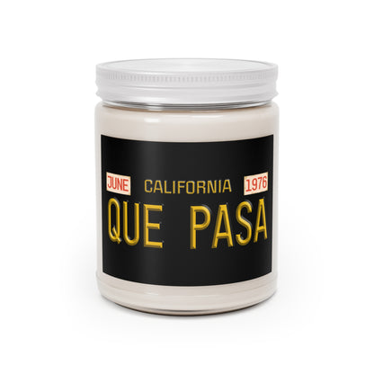 “QUE PASA” CA. Vintage License Plate Soy Candle. 9oz